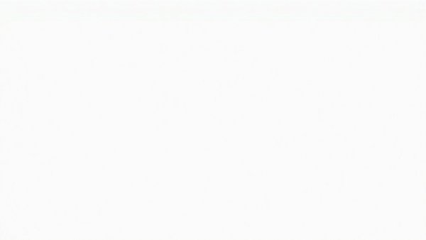 Vancouver news blank white background image.