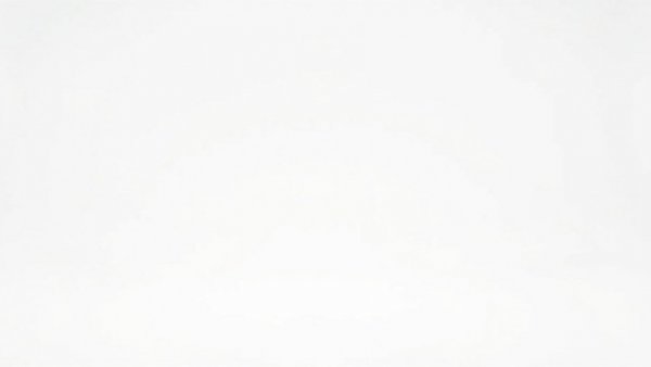 Blank white image representing emptiness.