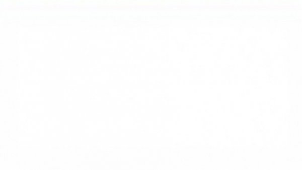 Blank white image representing empty space, no details or features.