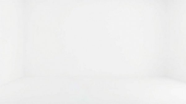 Blank white image representing emptiness.