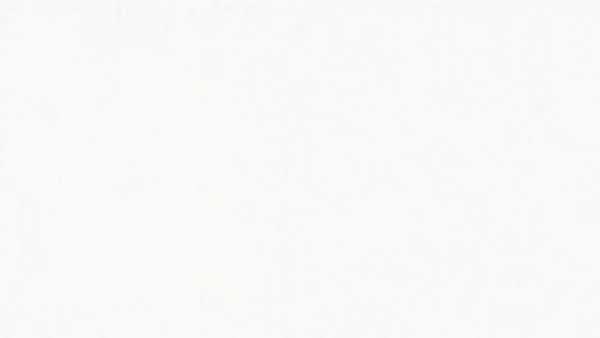 Blank white image, no UFC or medical care elements.