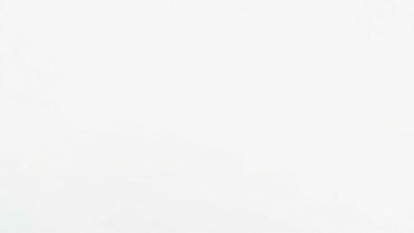 Blank white image, no details