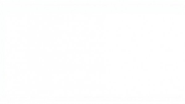 Blank white space for Vancouver Sun Run registration.