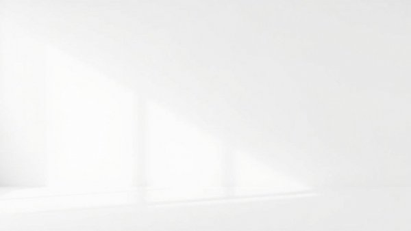 Blank white image, no content, featureless background.