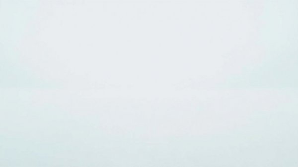 Blank white image, minimalistic and featureless.