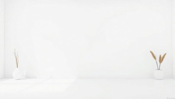 Blank image related to B.C. Ferries cancellations