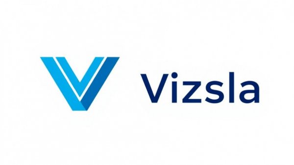 Vizsla Silver Corp blue V logo on white background