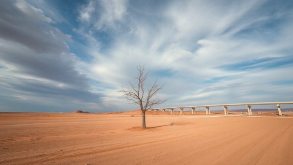 Barren land with a tree near a highway in Denver news.