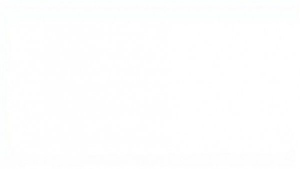 Simple white image with no visible content.