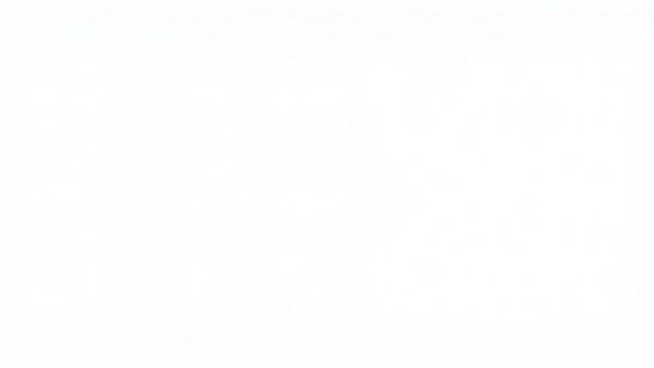 Blank white image, no visible content.