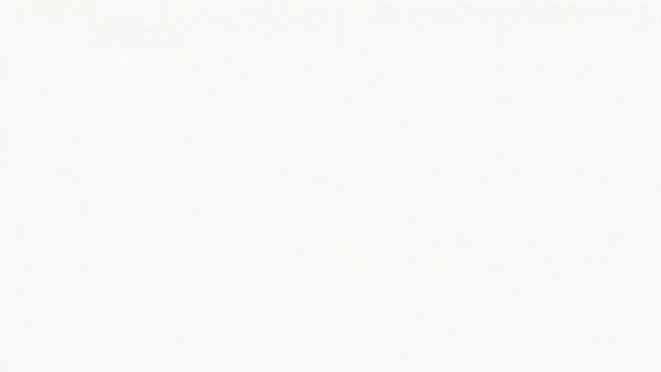 Blank white image representing lack of content or data.