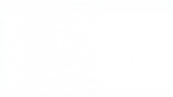 Blank white image representing absence of content.