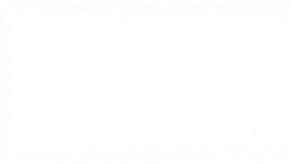 Blank white space representing absence of content.