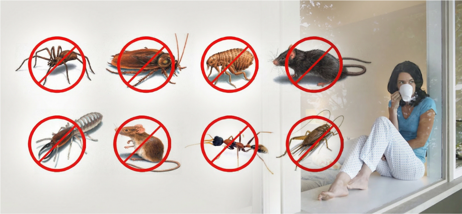Common household pests eliminated by Apna Pest Control including spiders, cockroaches, fleas, rats, mice, ants, and crickets in Surrey and Vancouver