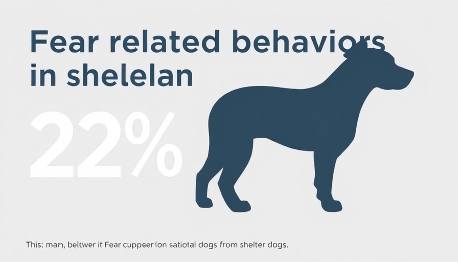Help a Rescue Dog Adjust to Their New Home statistics on fear-related behaviors