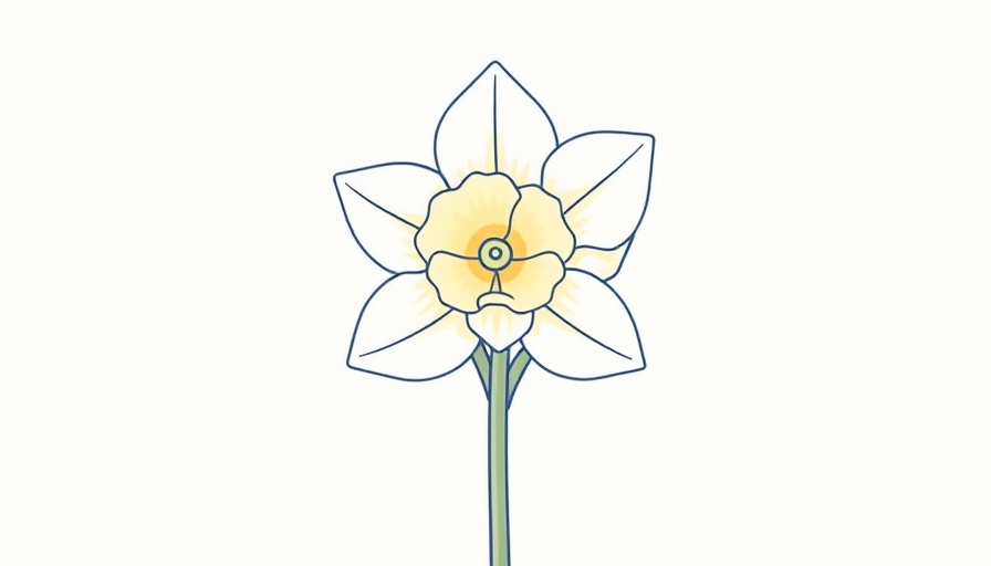 Gradient line art daffodil on white background.