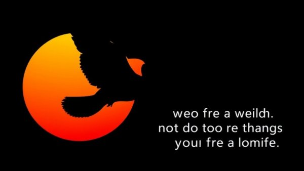 Stylized bird with orange sun, early bird access design; Value Your Time.