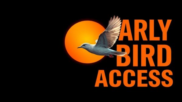 Dynamic digital illustration of bird near orange sun, text 'EARLY BIRD ACCESS'.