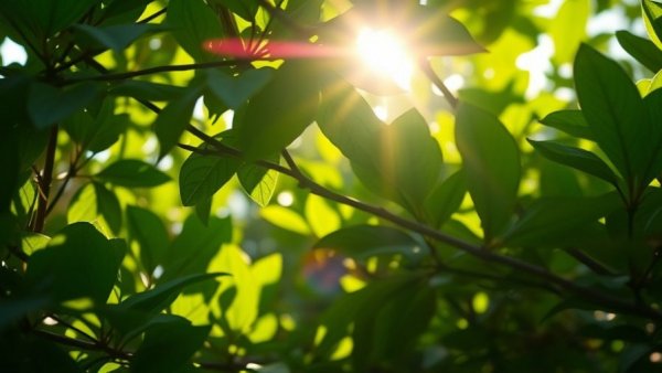 Text over green leaves suggesting simple video ideas for content creation.