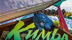 Kumba's Last Roar at Busch Gardens roller coaster thrill.