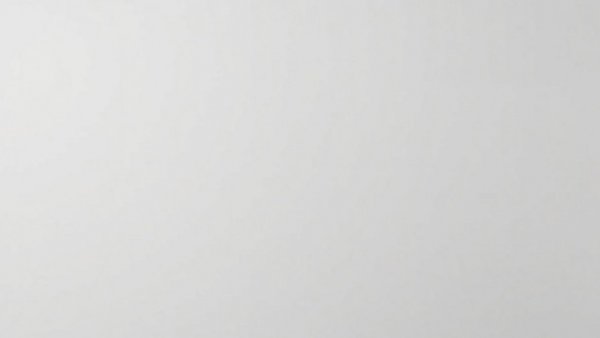 Empty gray image illustrating Tom Malinowski contradictions.