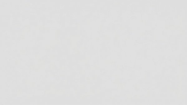 Placeholder image for New Jersey Sanctuary State delay