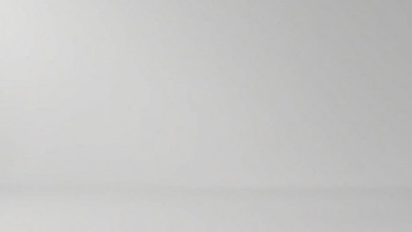 Gray placeholder image indicating lack of content.