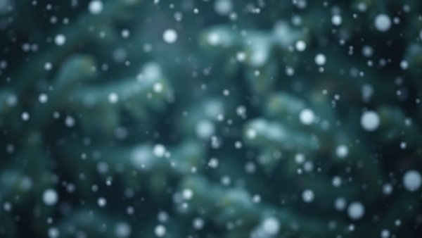 Gentle snowfall during New Jersey winter storm forecast.