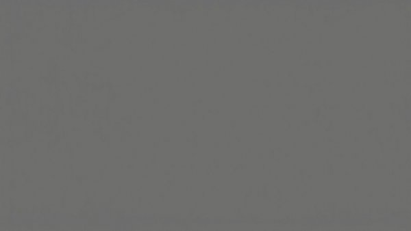 Gray placeholder image without content.