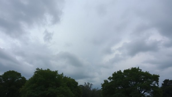 Gray sky with trees, highlighting NJ event cancellations due to Isaias rain.