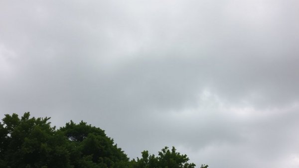 Isaias rain clouds over lush trees in NJ sky