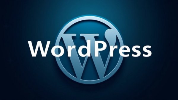WordPress 6.9 logo highlighting new features for developers