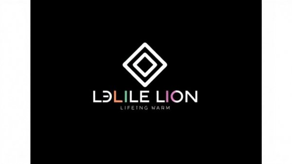 Digital Solutions in Aircraft Maintenance logo branding.