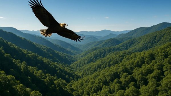 Hidden National Parks Southeast USA scenery with lush mountains