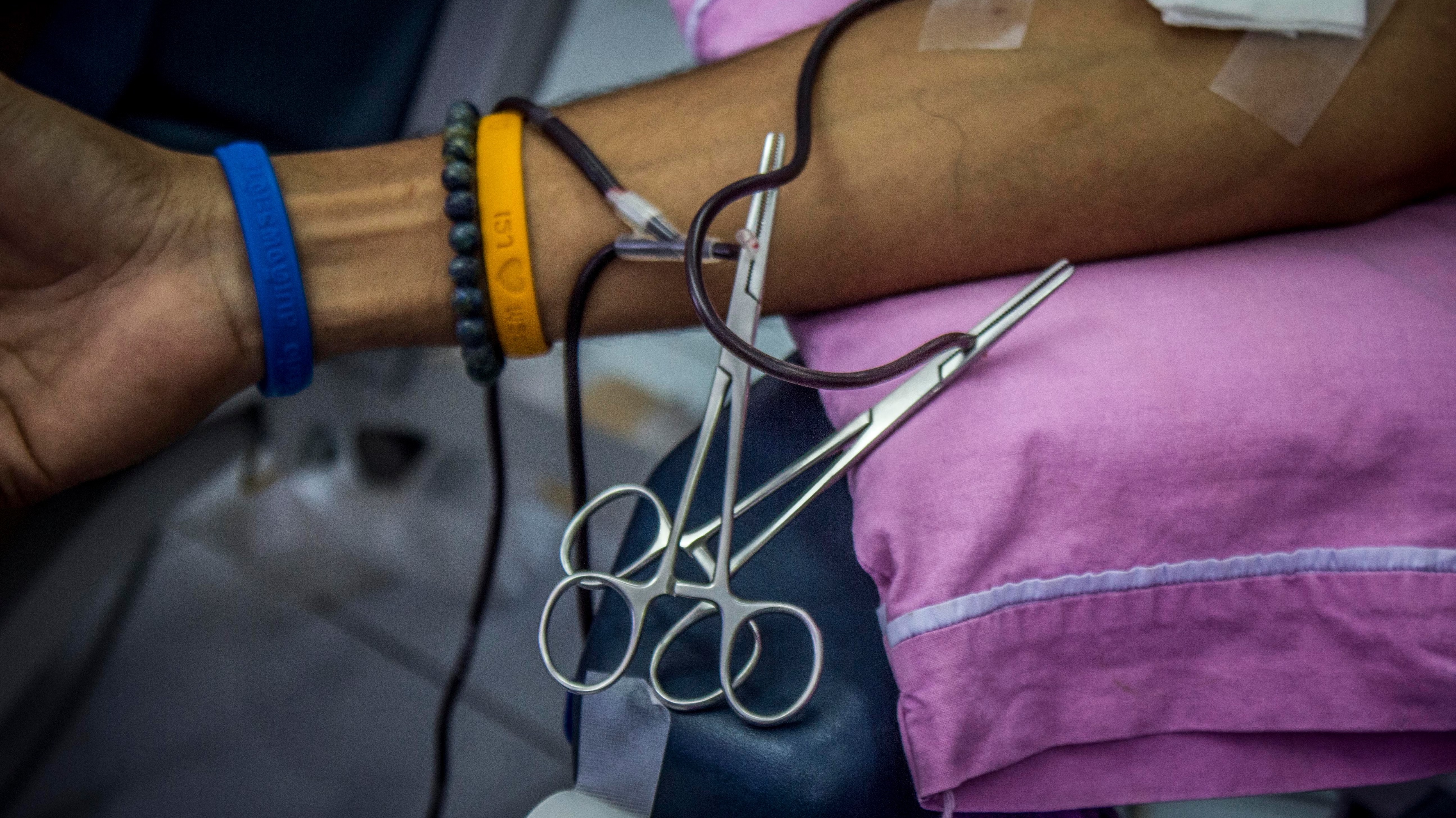Detailed view of vein bifurcations ideal for IVs and blood draws educational aid.
