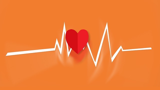 Healthcare professionals discuss heart health in Kampala, Uganda.