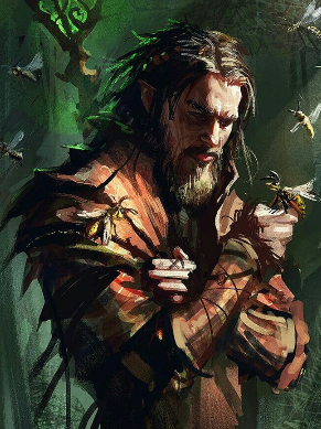 Korvo Quiverfeather