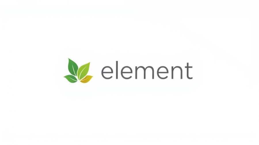 Logo for senior care advisors in Muskegon - Element Care.