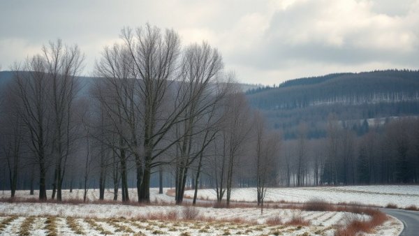 Tree care management Somerset, winter forest landscape with bare trees and countryside.