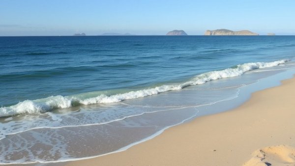 Professional rental administration market update with coastal view.