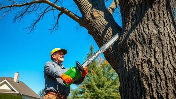 Greenworks Commercial 82V Optimus Carbon Fiber Pole Saw in action during tree trimming.