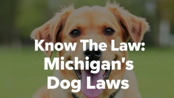 Know The Law: Michigan's Dog Laws