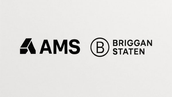 Local SEO services for small businesses with AMS and Briggran Staten logos.