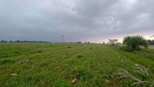 Gulf Coast on High Alert for Severe Weather Expect Travel Delays and Strong Winds After Historic Storms in Missouri Illinois Kentucky and Michigan - Travel And Tour World