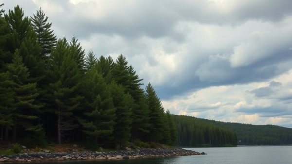 Serene Lake View at Isle Royale, lush pine trees and reflections