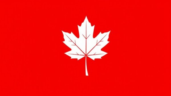 Simple white maple leaf on red background symbolizing affordable SEO services.