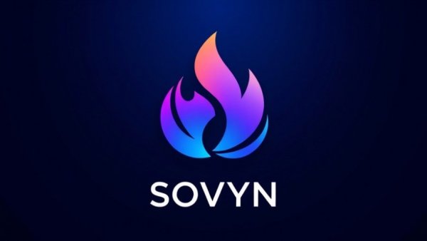Modern logo with abstract flame shape and 'SOVYN' text, symbolizing integrated digital marketing strategy.