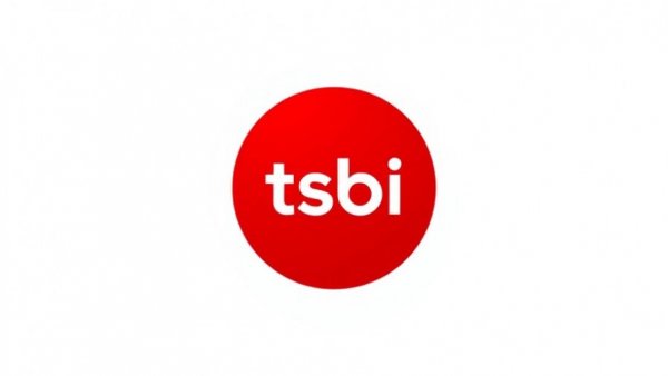 Minimalistic red logo with 'tsboi' text for African business visibility