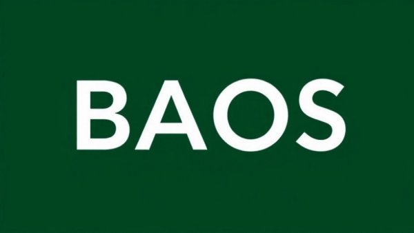 Baosheng Media text logo on a green background