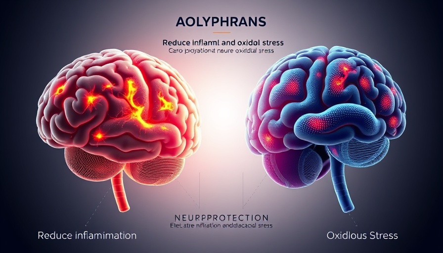 Diagram showing plant compounds for Alzheimer’s disease prevention.